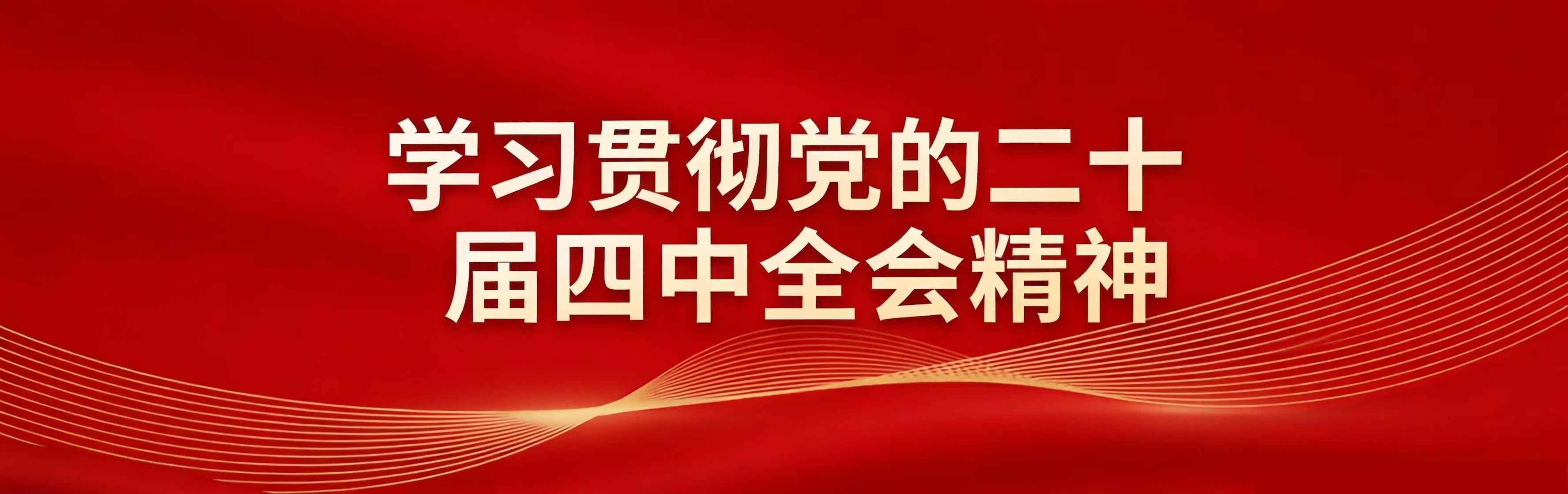 學(xué)習(xí)貫徹黨的第二十屆四中全會精神